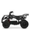 Квадроцикл HB-EATV1000N-19