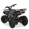 Квадроцикл HB-EATV1000N-19