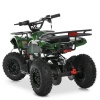 Квадроцикл HB-EATV1000N-10